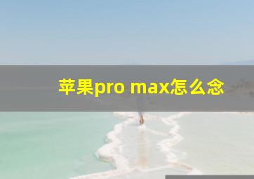 苹果pro max怎么念